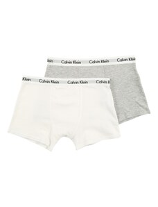 Calvin Klein Underwear Apatinės kelnaitės margai pilka / balta