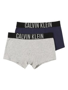 Calvin Klein Underwear Apatinės kelnaitės mėlyna / pilka