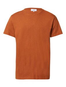 DAN FOX APPAREL Marškinėliai 'Piet' ruda (konjako)