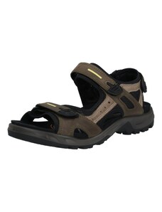 ECCO Sportinio tipo sandalai 'Offroad' purvo spalva / juoda