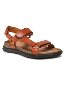 paragon chappal 6815