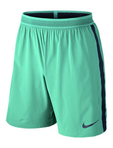 Nike Pro Flex Vent Max šortai - GLAMI.lt