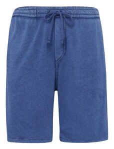 Polo Ralph Lauren Kelnės mėlyna