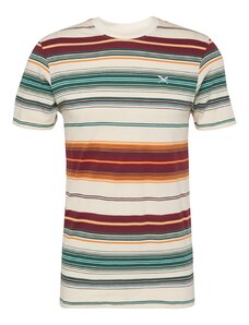 Iriedaily Marškinėliai 'Santo' smėlio spalva / žalia / oranžinė