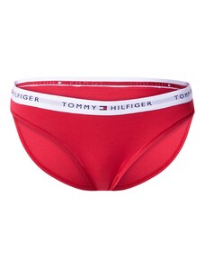 Tommy Hilfiger Underwear Moteriškos kelnaitės tamsiai mėlyna / pilka / kraujo spalva / balta