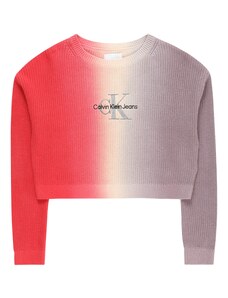 Calvin Klein Jeans Megztinis kremo / sidabro pilka / spanguolių spalva / juoda