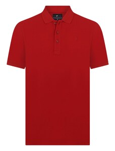 DENIM CULTURE Marškinėliai 'JONATHAN' raudona