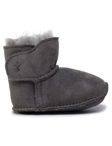 Sniego batai EMU Australia