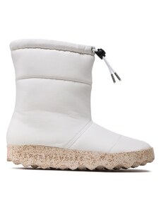 Sniego batai Asportuguesas