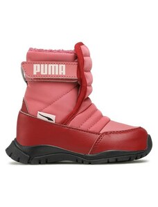 Sniego batai Puma