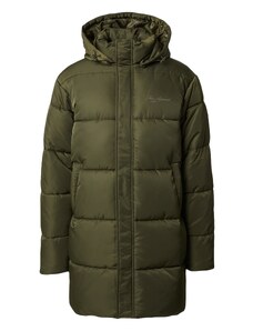 DAN FOX APPAREL Žieminis paltas 'Alessio' alyvuogių spalva / tamsiai žalia