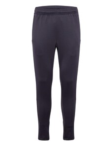 ADIDAS SPORTSWEAR Sportinės kelnės 'Tiro' šviesiai pilka / tamsiai pilka