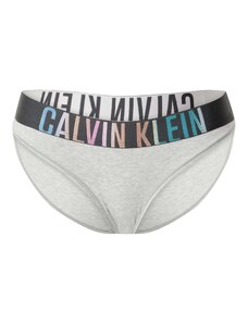 Calvin Klein Underwear Moteriškos kelnaitės žalsvai mėlyna / margai pilka / rožių spalva / juoda