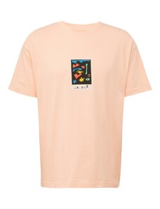 Volcom Marškinėliai 'ARTHUR LONGO' persikų spalva