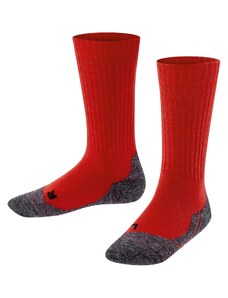 FALKE Sportinės kojinės 'Active Warm' margai pilka / raudona / juoda