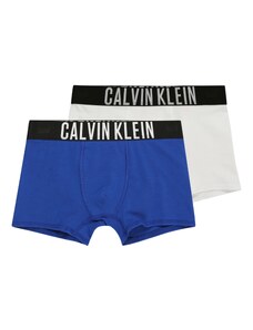 Calvin Klein Underwear Apatinės kelnaitės 'Intense Power' mėlyna / juoda / balta