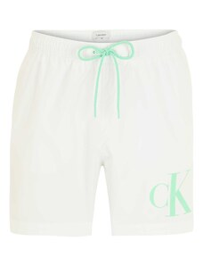 Calvin Klein Swimwear Maudymosi trumpikės mėtų spalva / balta