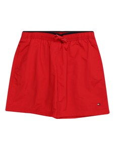 Tommy Hilfiger Underwear Maudymosi kelnaitės 'Essential' tamsiai mėlyna / raudona / balta