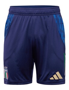 ADIDAS PERFORMANCE Sportinės kelnės tamsiai mėlyna / azuro spalva / šviesiai žalia / raudona