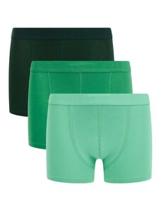 WE Fashion Apatinės kelnaitės žalia / mėtų spalva / tamsiai žalia