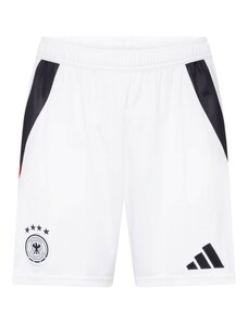 ADIDAS PERFORMANCE Sportinės kelnės 'DFB 24' raudona / juoda / balta