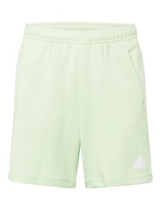 ADIDAS SPORTSWEAR Sportinės kelnės pastelinė žalia / balta