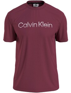 Calvin Klein Marškinėliai 'DEGRADE' vyšninė spalva / balta
