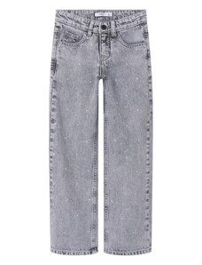 NAME IT Džinsai 'NKFROSE' pilko džinso