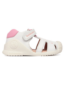 Basutės Biomecanics