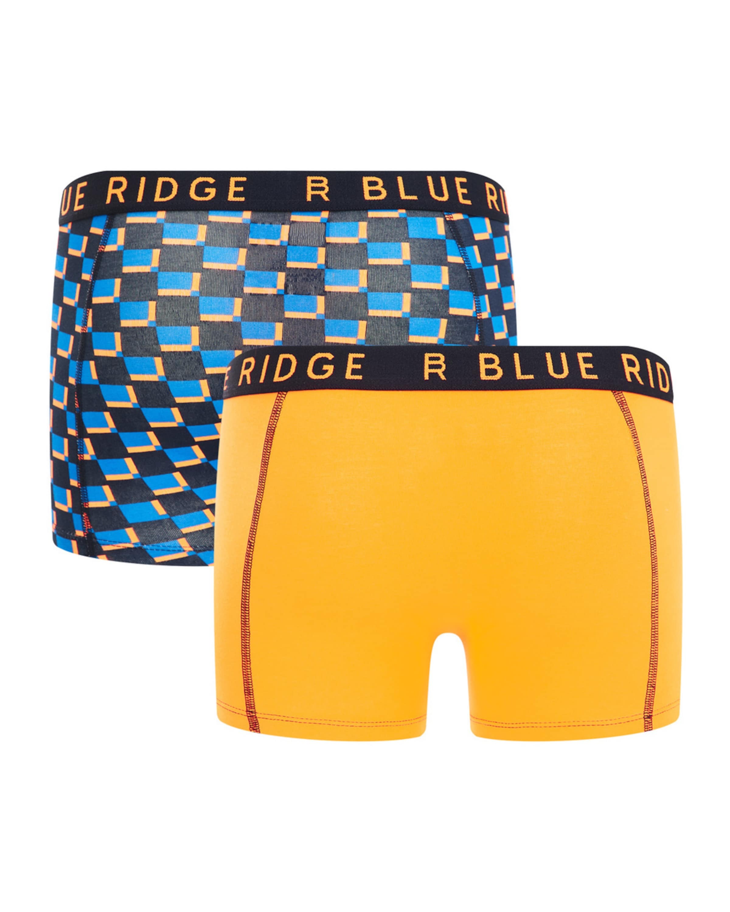 WE Fashion Apatinės kelnaitės mėlyna / ruda / oranžinė