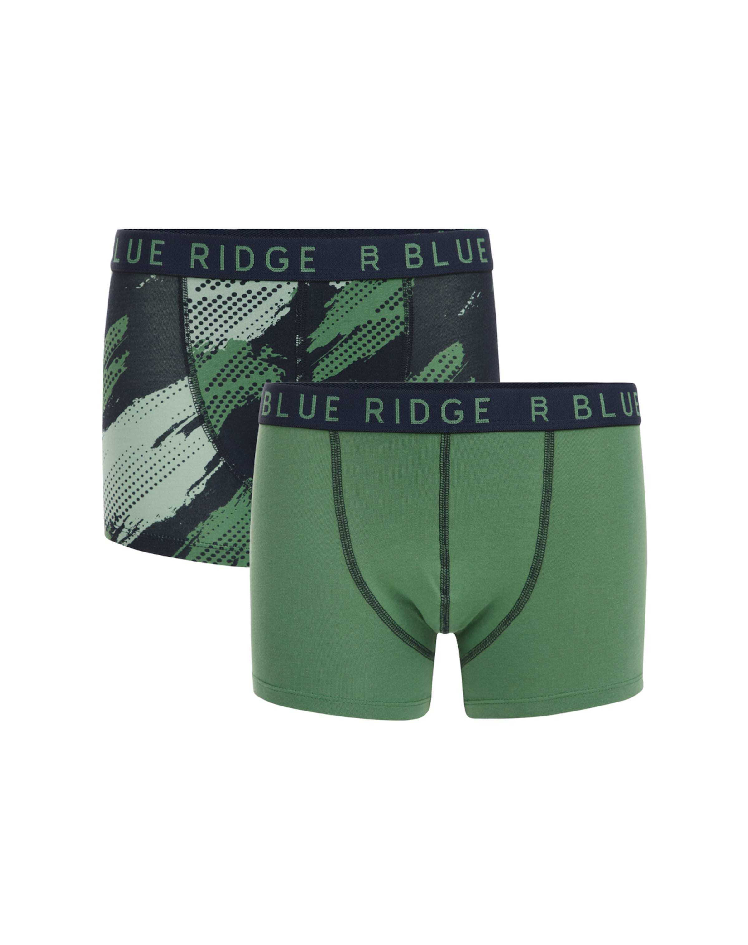 WE Fashion Apatinės kelnaitės alyvuogių spalva / tamsiai žalia / šviesiai žalia