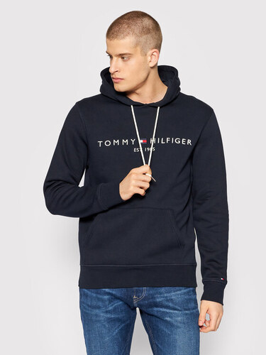 tommy hilfiger dzemperis