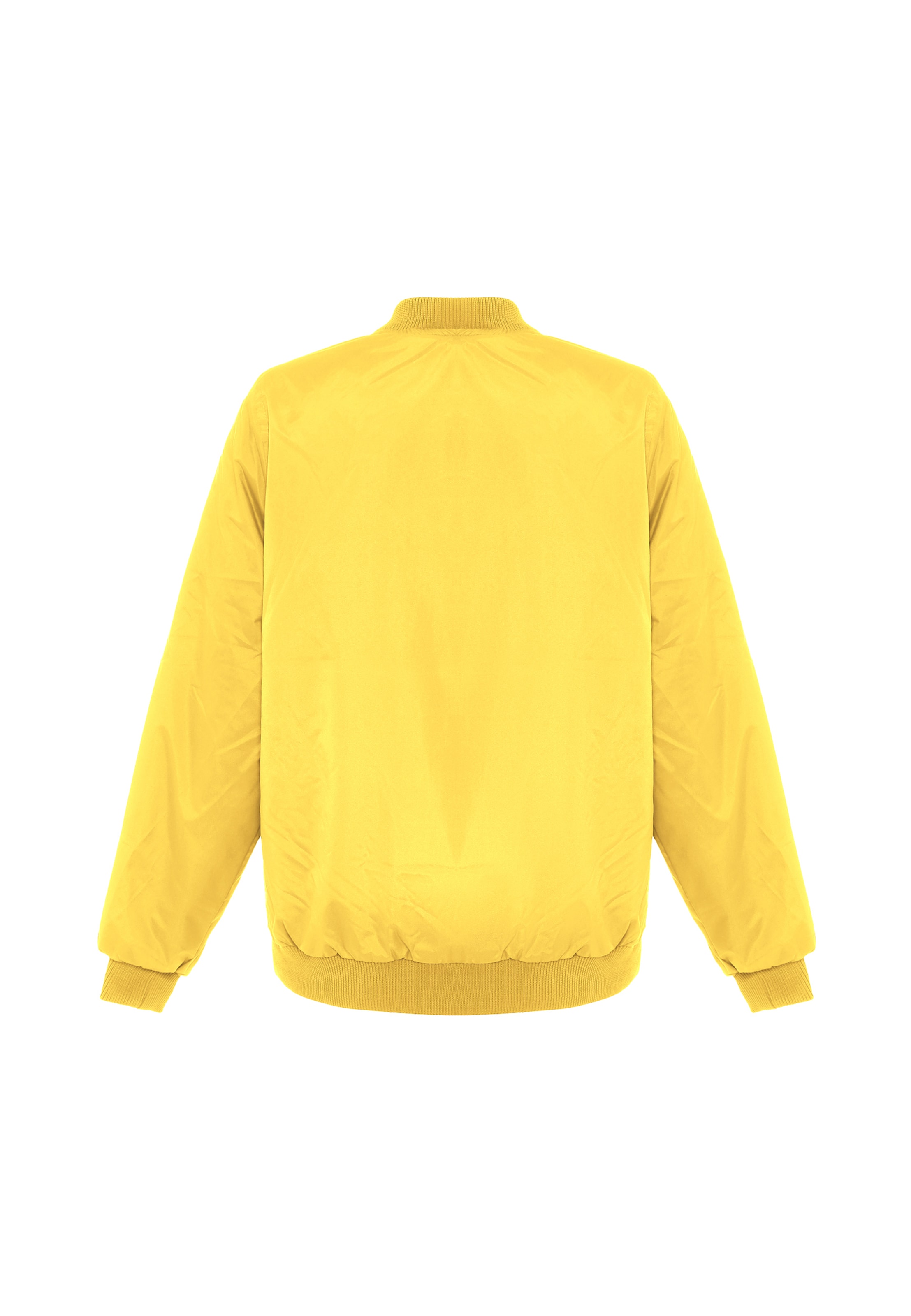 Exide Demisezoninė striukė geltona