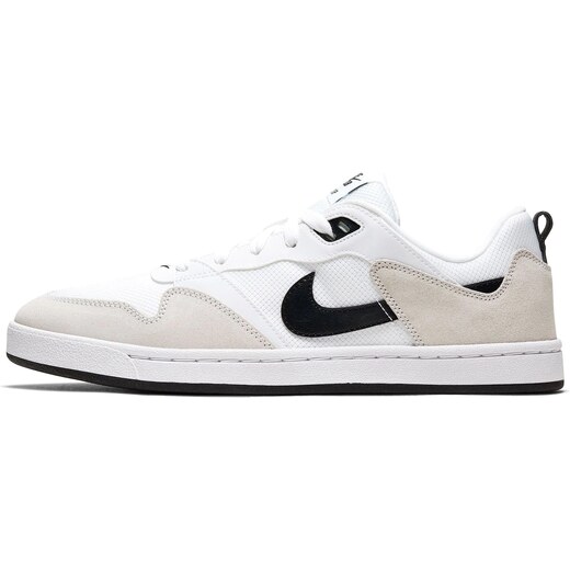 nike sb alleyoop skate sneakers