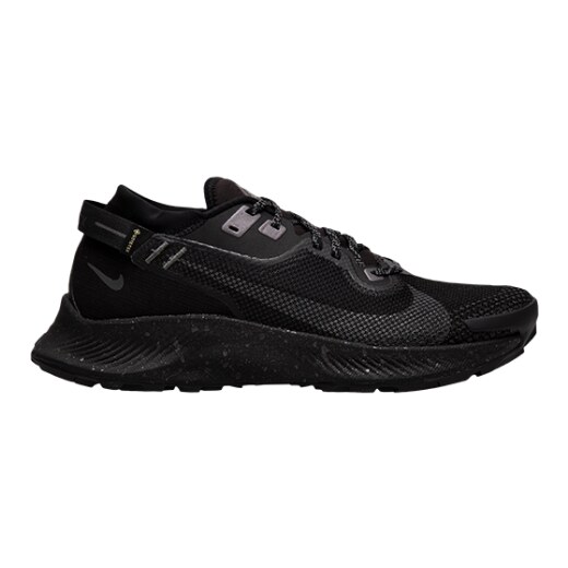 pegasus 2 goretex