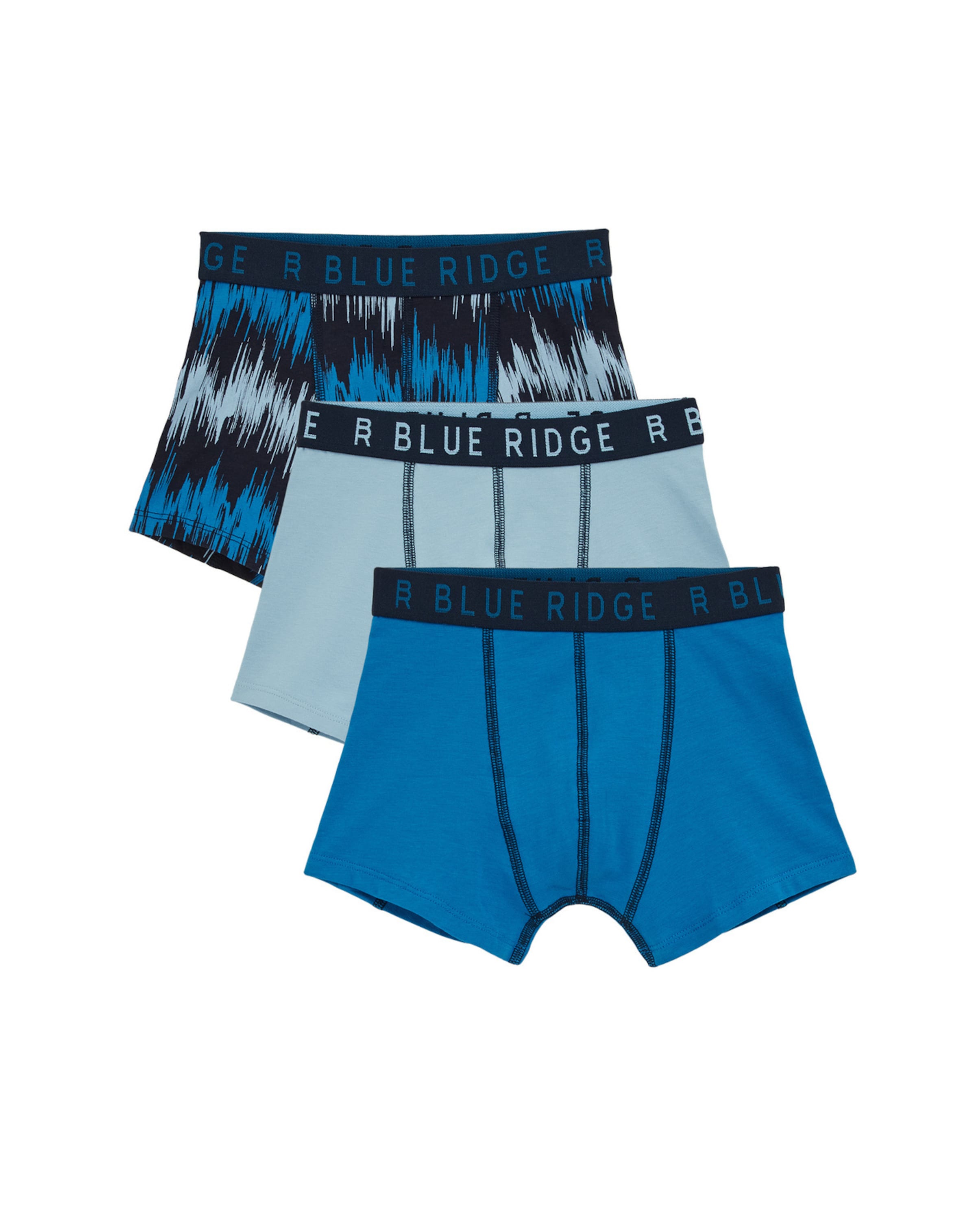 WE Fashion Apatinės kelnaitės sodri mėlyna („karališka“) / šviesiai mėlyna