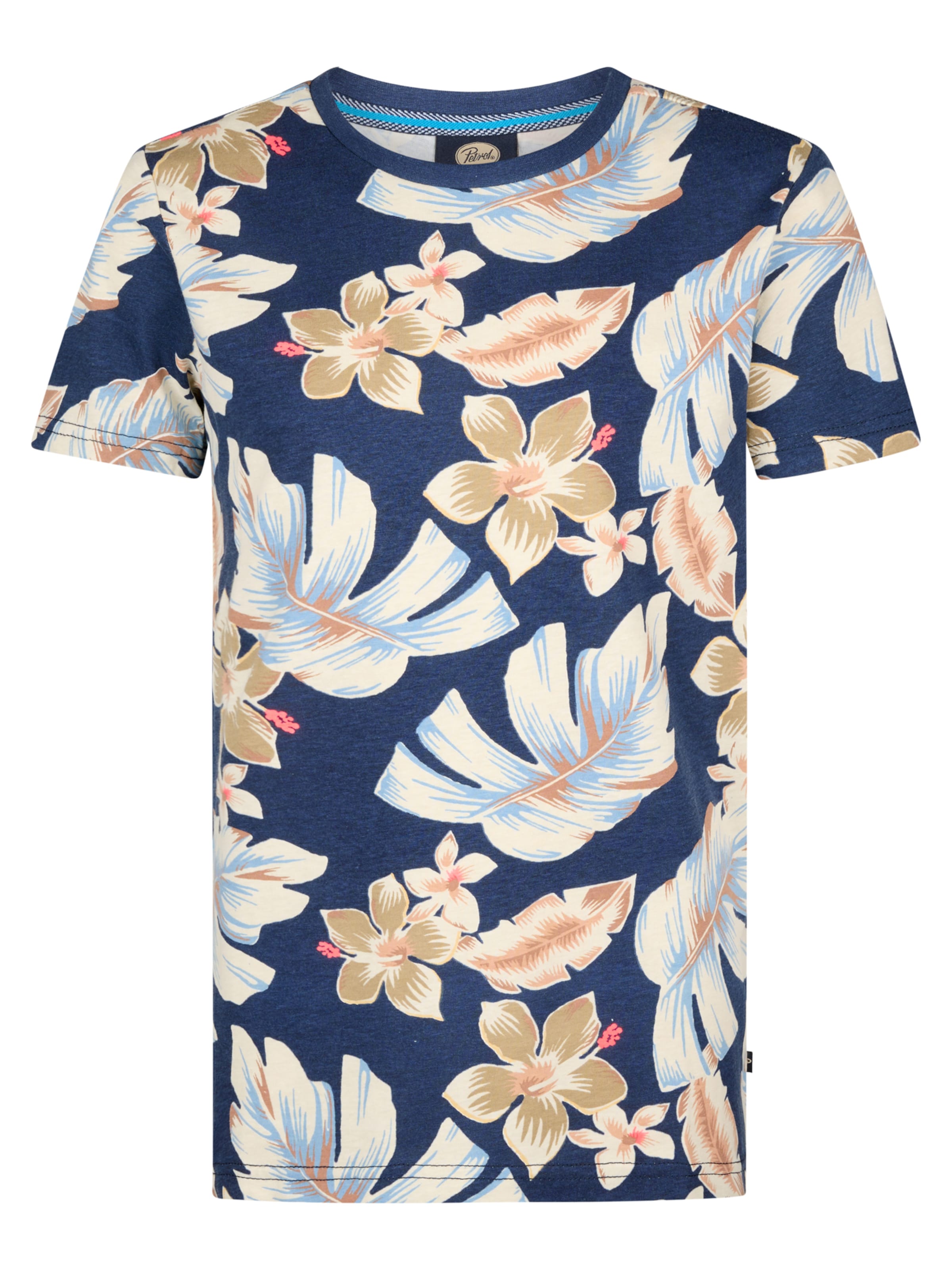 Petrol Industries Marškinėliai 'Fisherway' mėlyna / mišrios spalvos