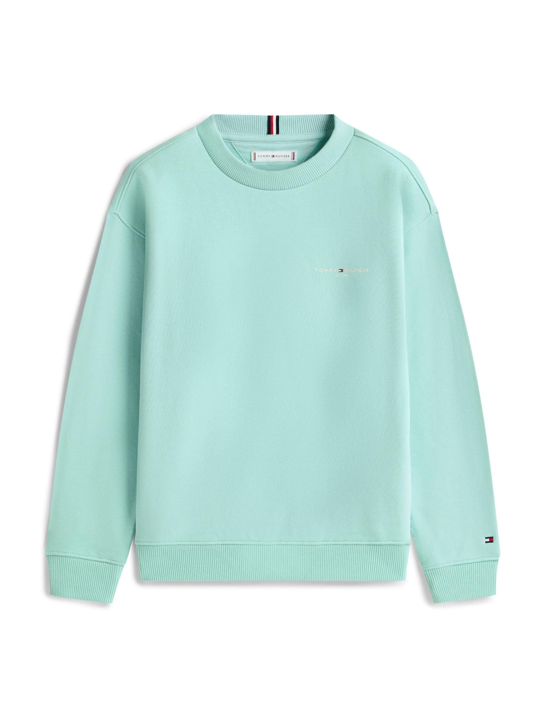 TOMMY HILFIGER Megztinis be užsegimo vandens spalva / balkšva