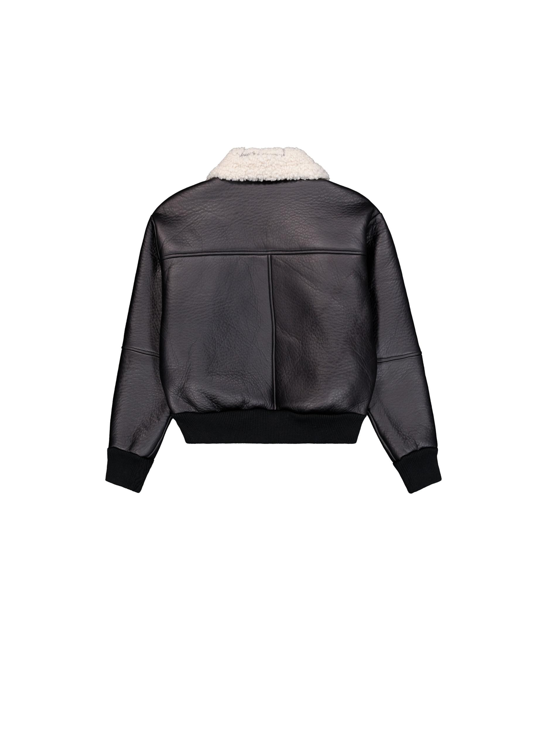 ALPHA INDUSTRIES Žieminė striukė juoda