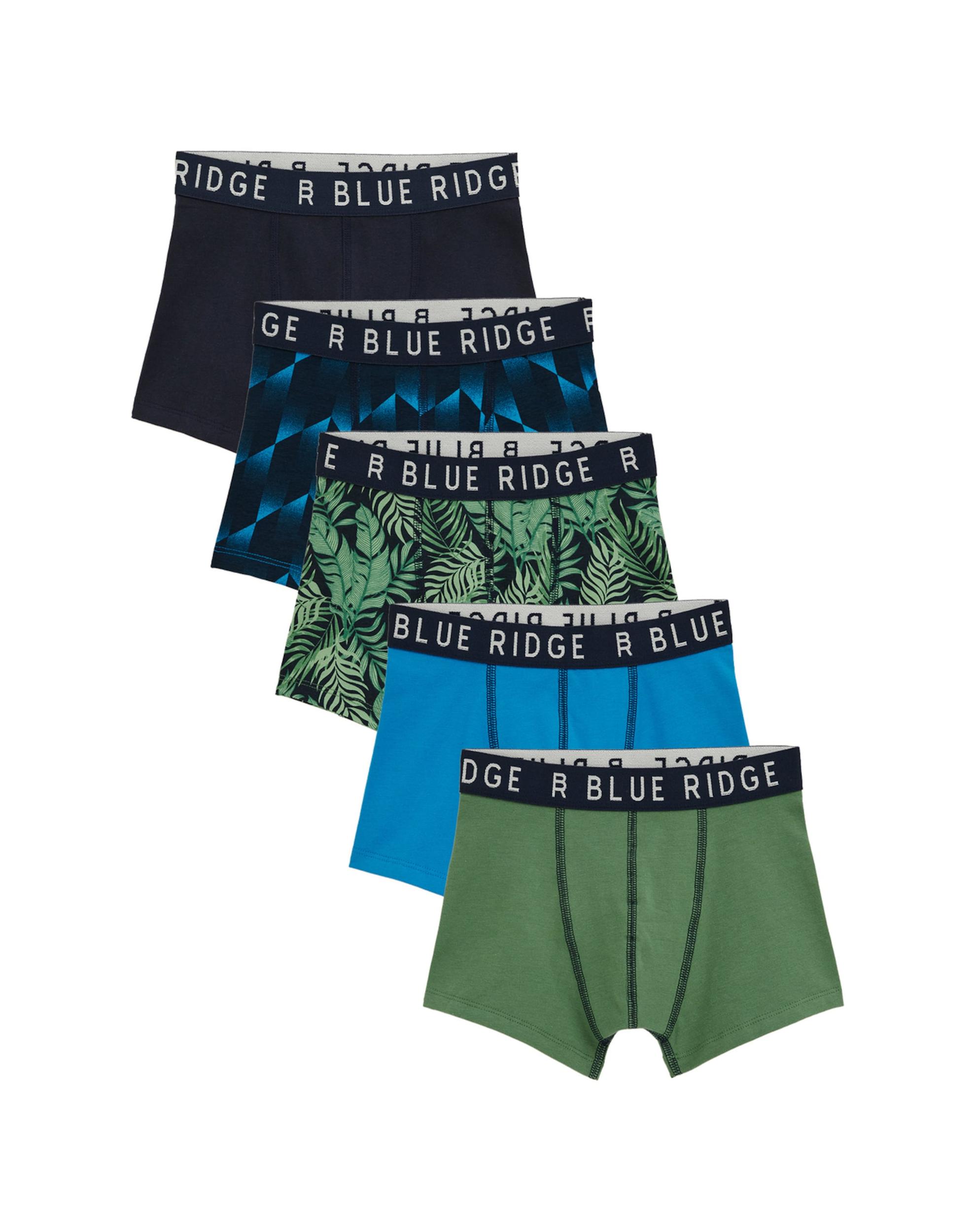 WE Fashion Apatinės kelnaitės mėlyna / tamsiai mėlyna / žalia