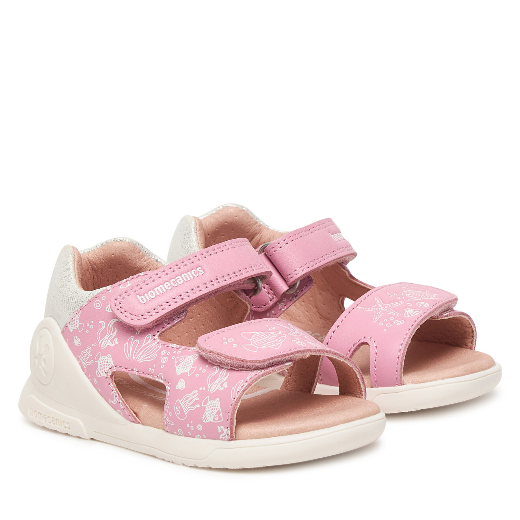 Basutės Biomecanics