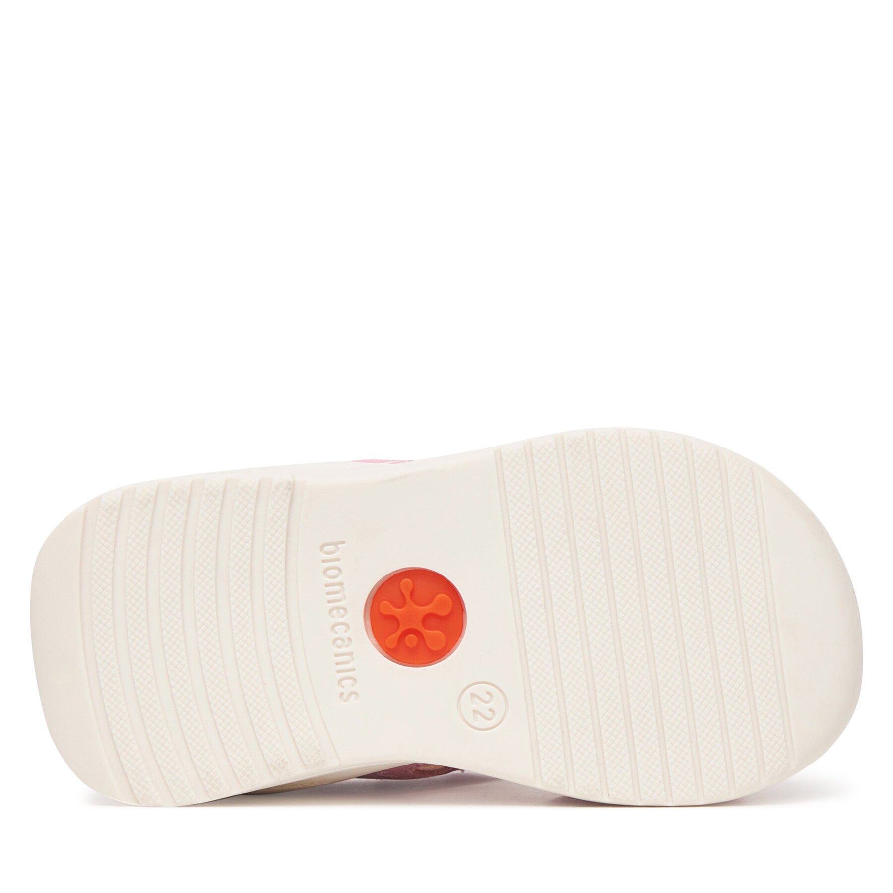 Basutės Biomecanics