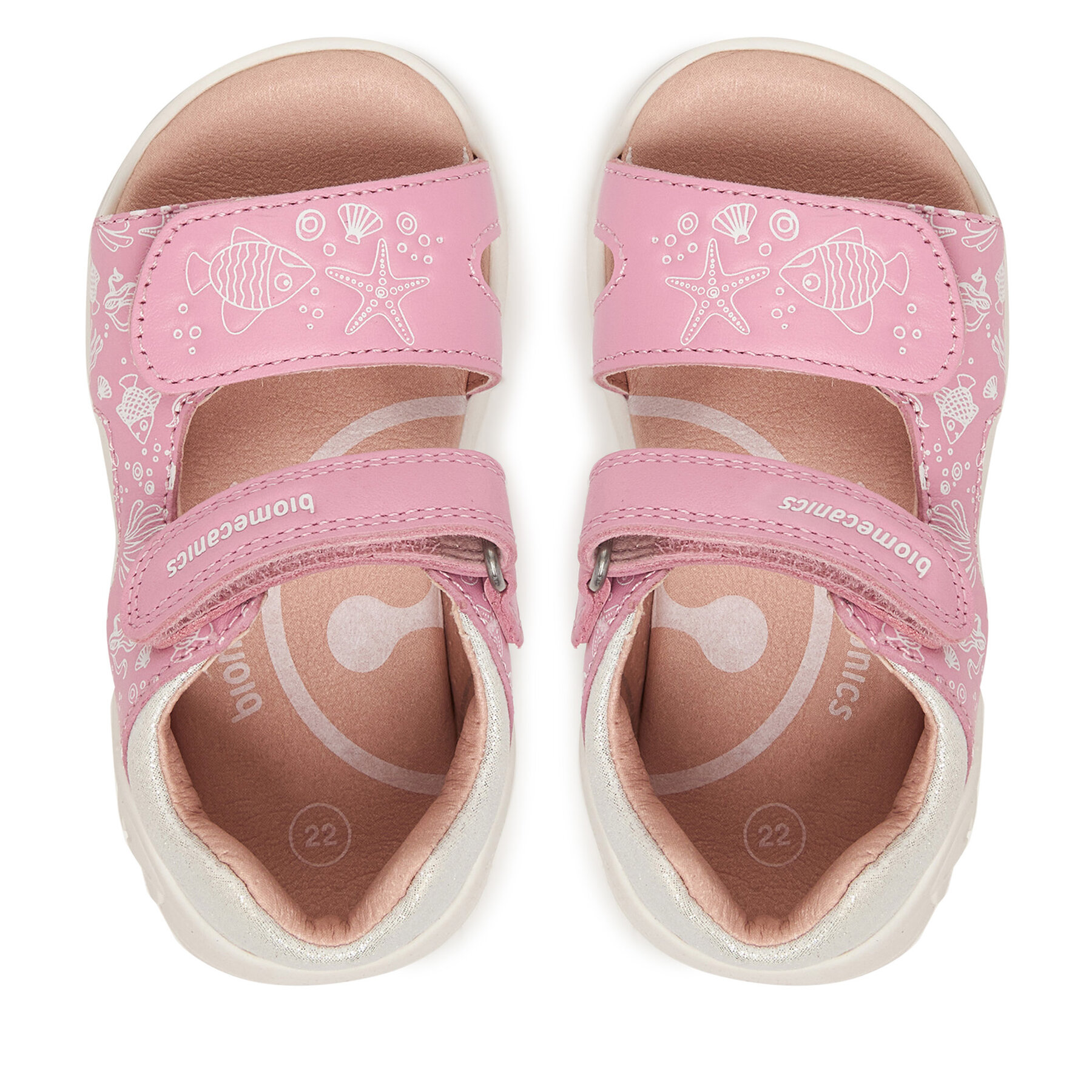 Basutės Biomecanics