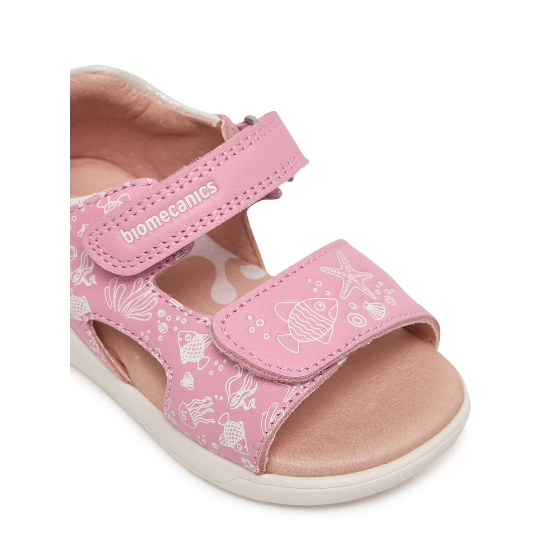 Basutės Biomecanics