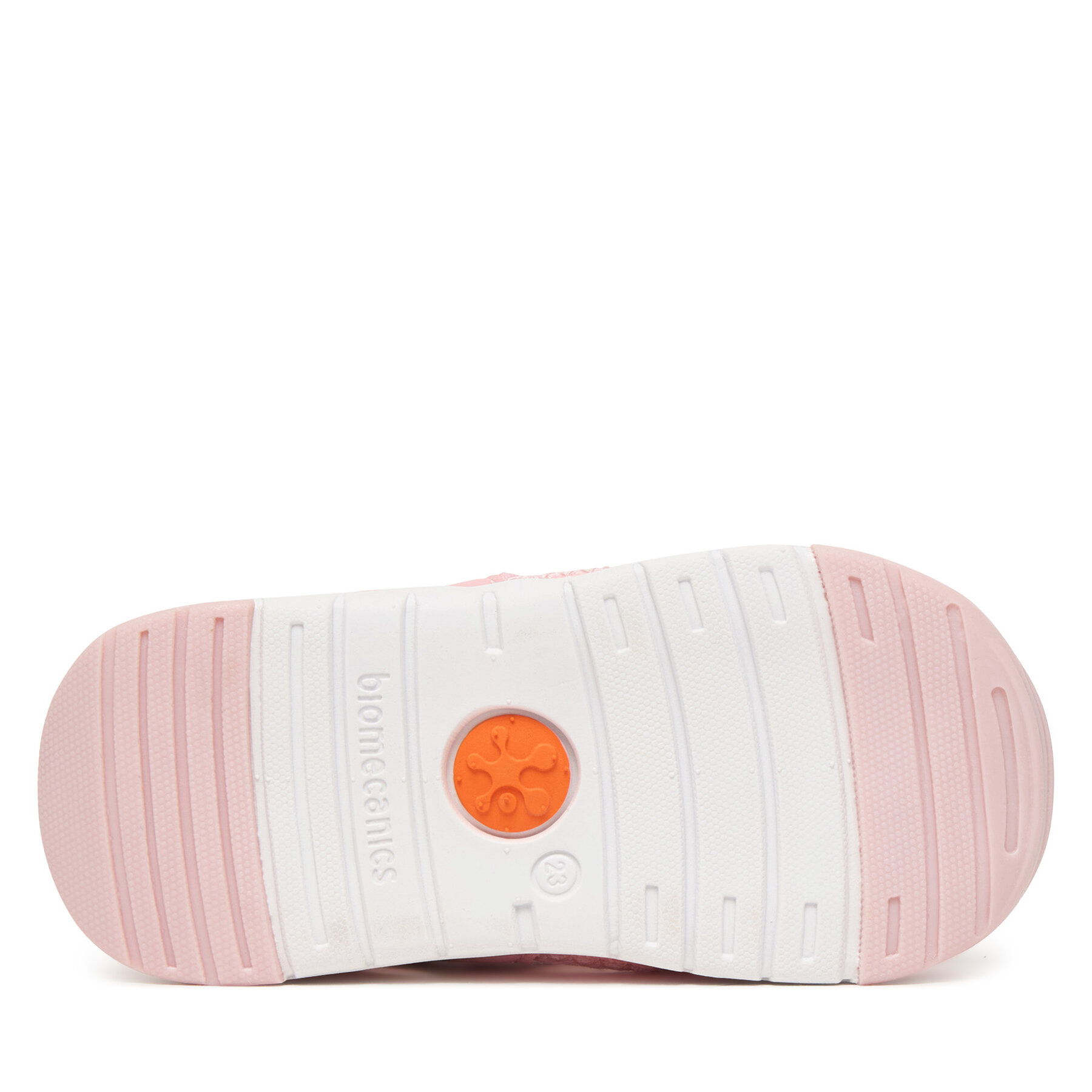 Basutės Biomecanics