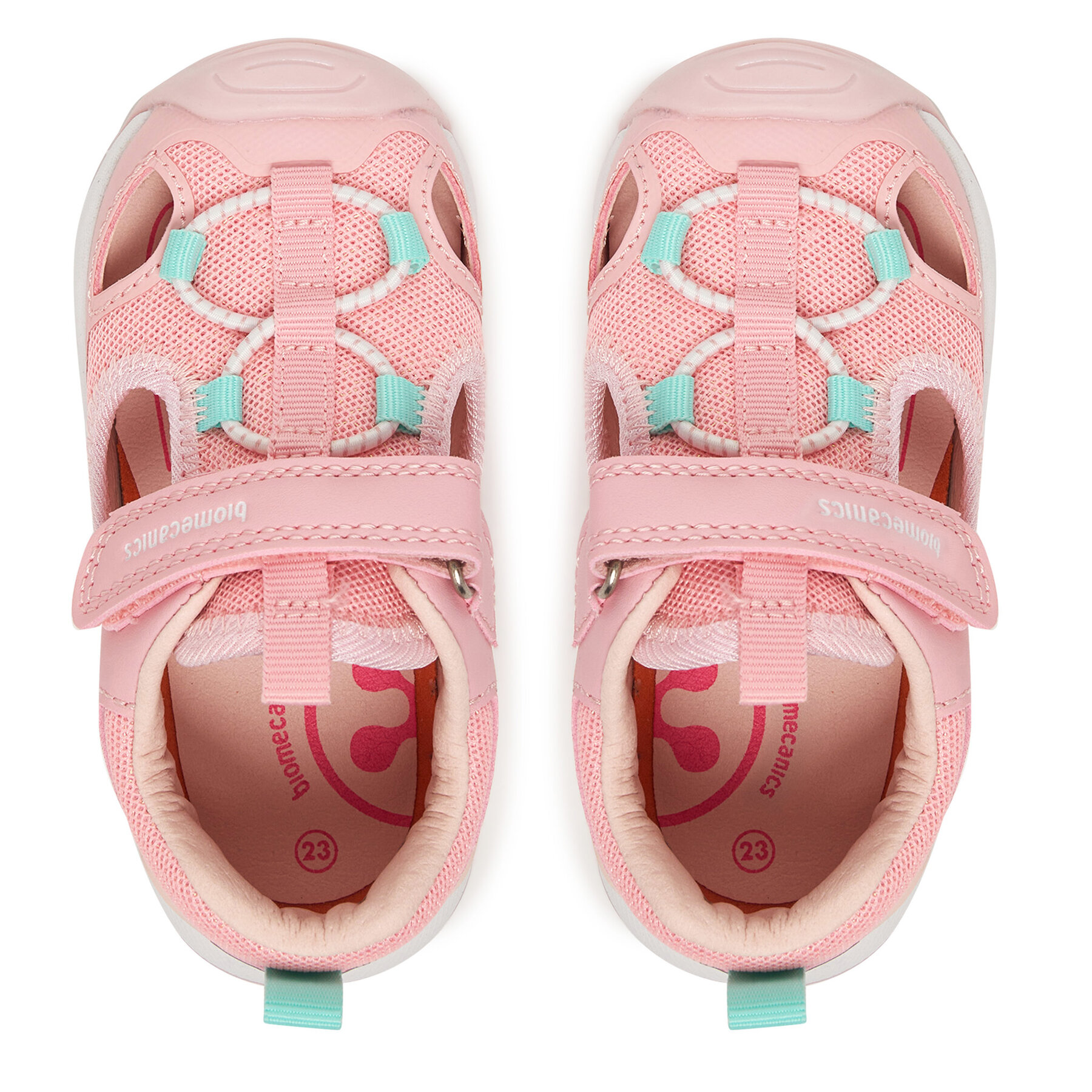 Basutės Biomecanics