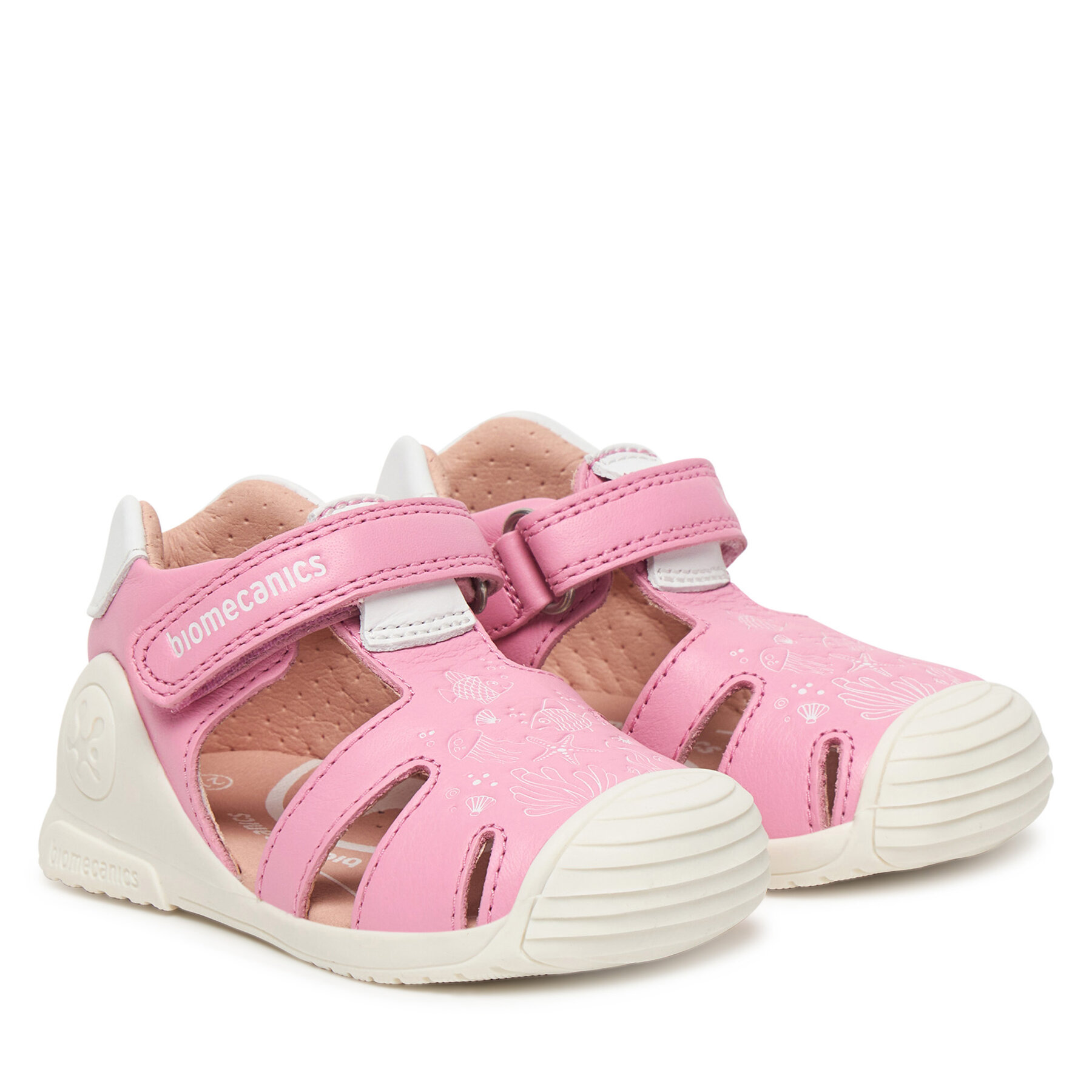 Basutės Biomecanics