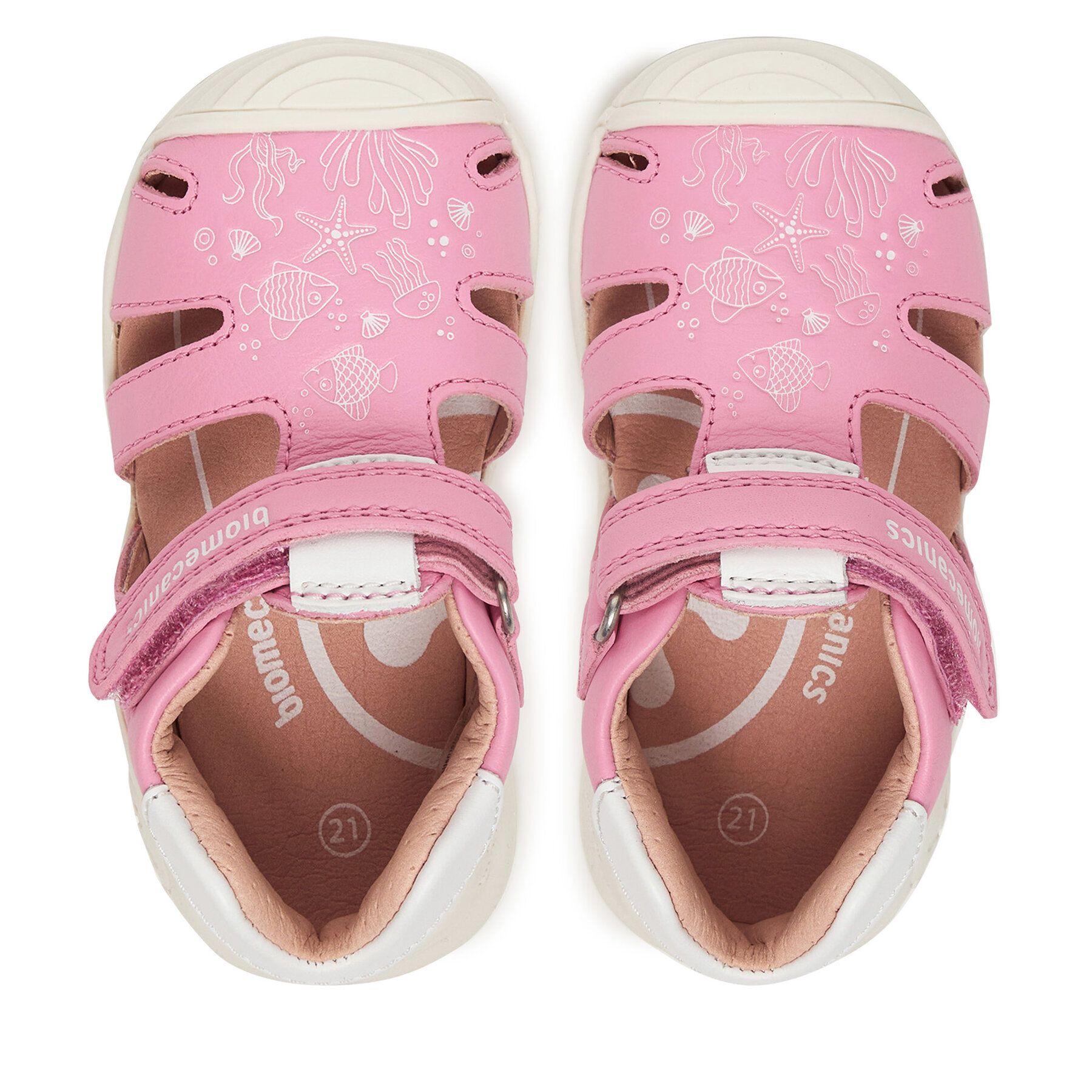 Basutės Biomecanics