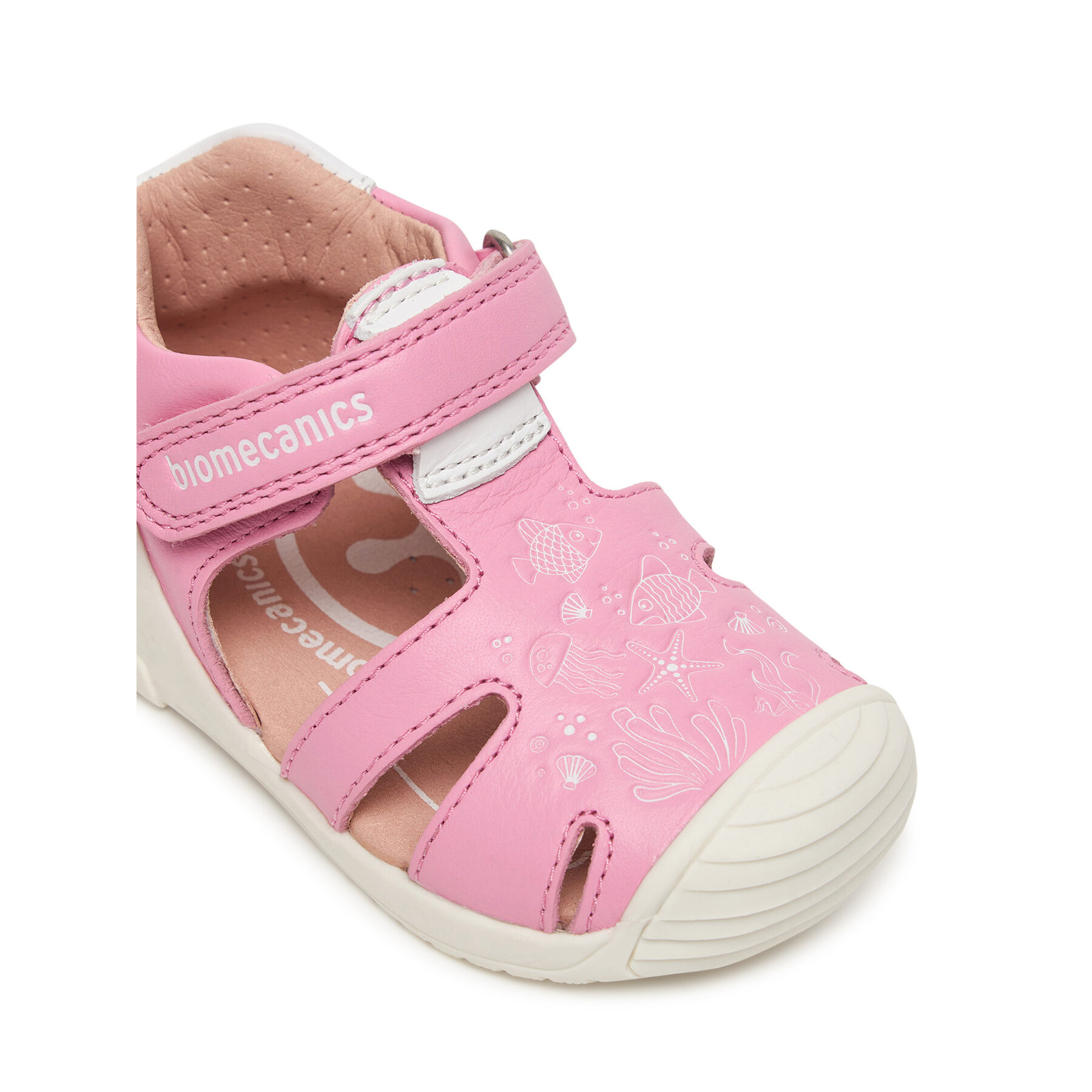 Basutės Biomecanics