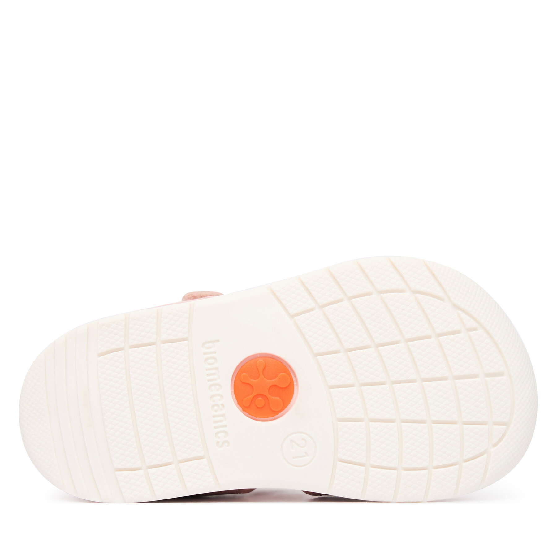 Basutės Biomecanics